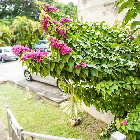 Color Garden - Studio Martinique Sainte-Anne Exterior photo