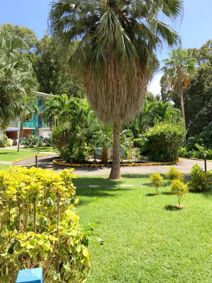 Color Garden - Studio Martinique Sainte-Anne Exterior photo