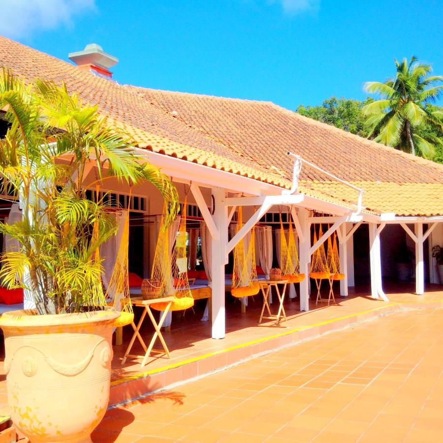 Color Garden - Studio Martinique Sainte-Anne Exterior photo