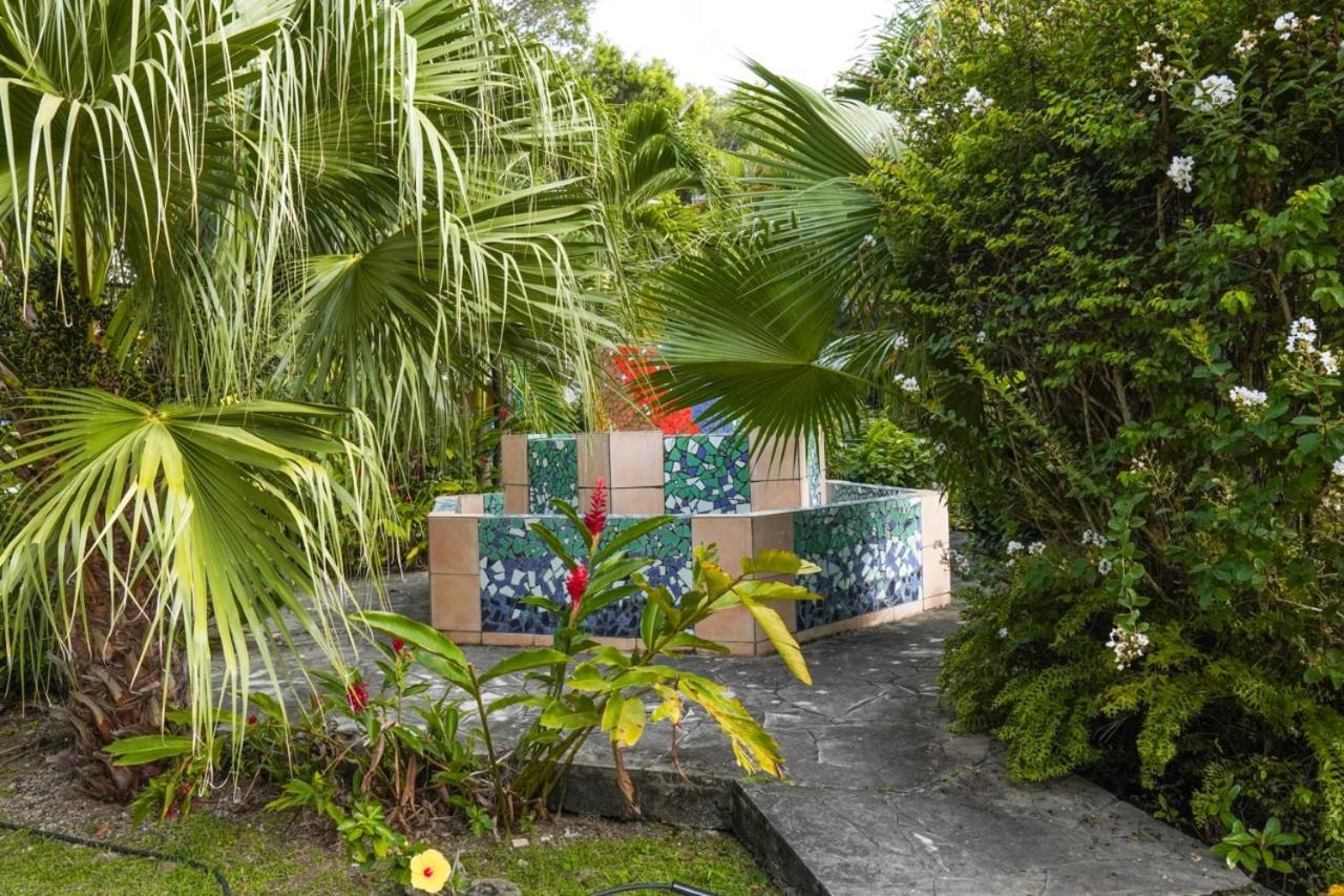 Color Garden - Studio Martinique Sainte-Anne Exterior photo