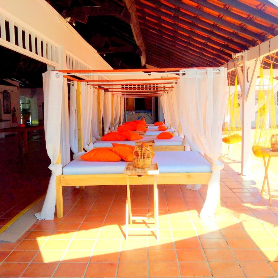 Color Garden - Studio Martinique Sainte-Anne Exterior photo